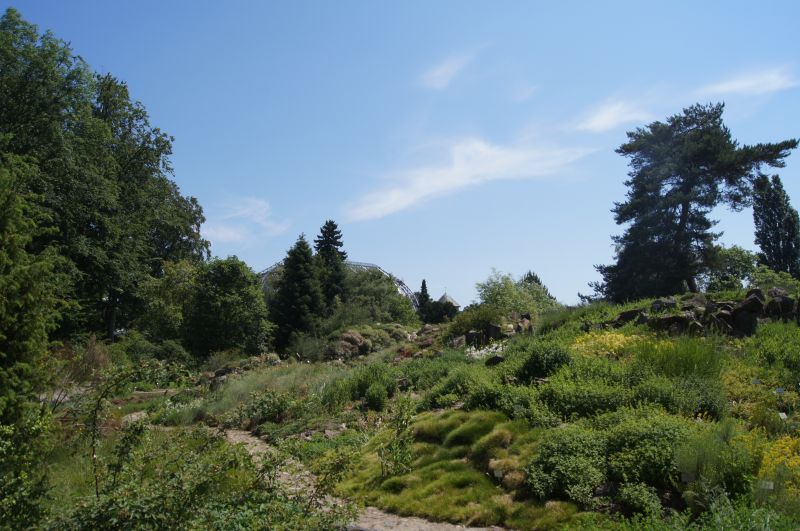 Viewing photos→2011→2011-05-31→05