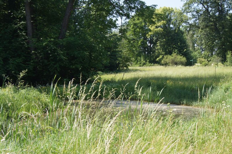 Viewing photos→2011→2011-05-31→10