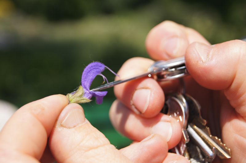 Viewing photos→2011→2011-05-31→11