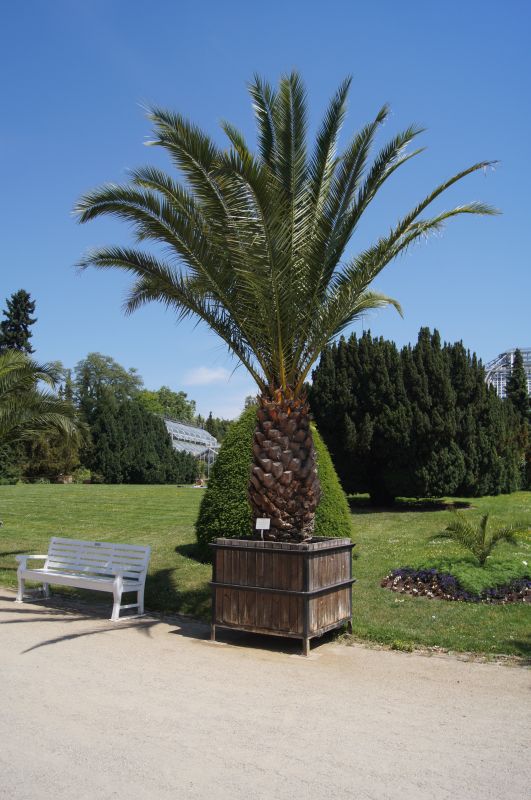 Viewing photos→2011→2011-05-31→13