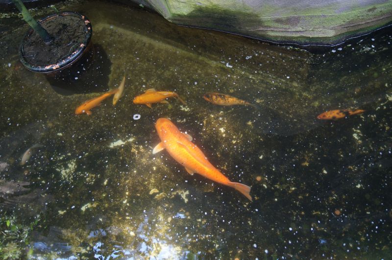 Viewing photos→2011→2011-05-31→20