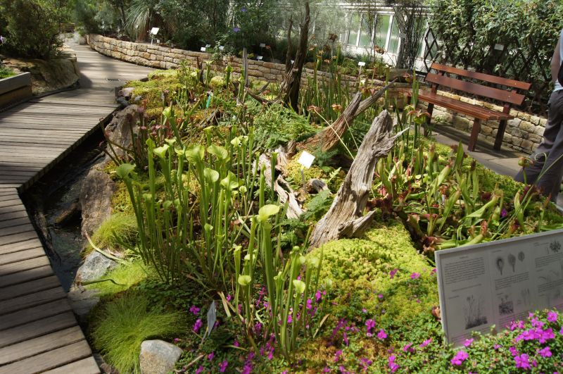 Viewing photos→2011→2011-05-31→22