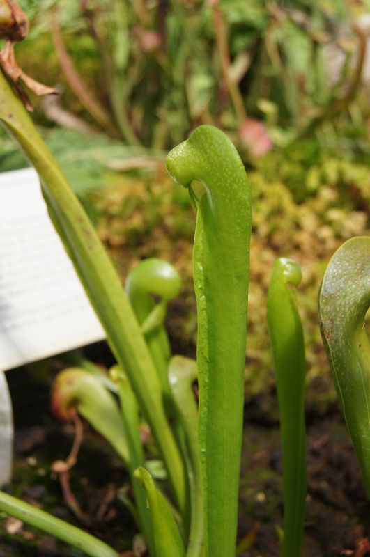 Viewing photos→2011→2011-05-31→24