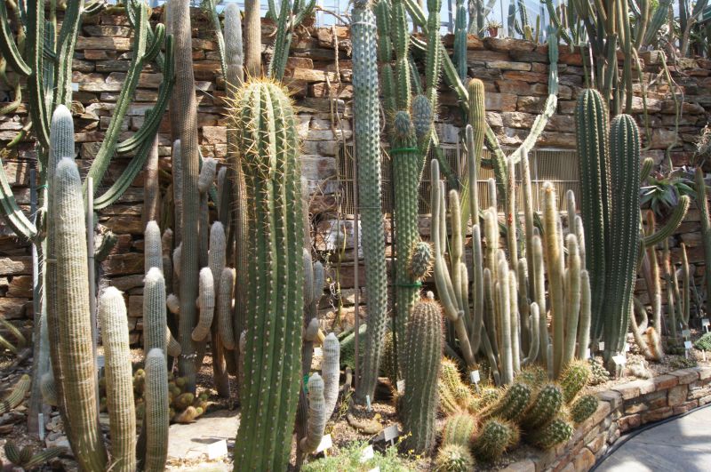 Viewing photos→2011→2011-05-31→27