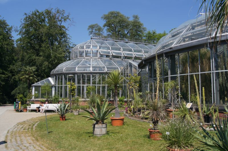 Viewing photos→2011→2011-05-31→31