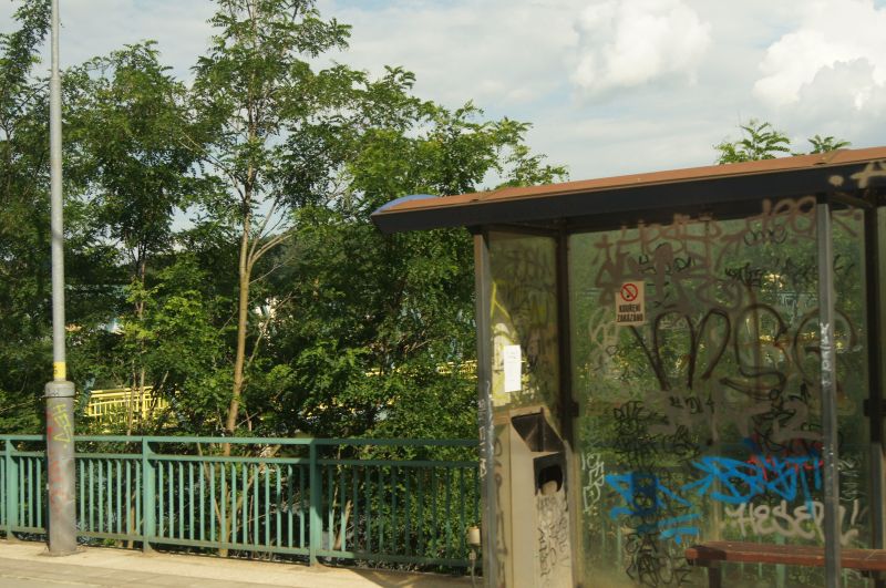 Viewing photos→2011→2011-06-14-1→62