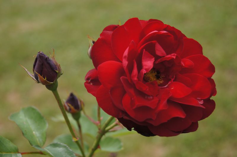 Viewing photos→2011→2011-06-14-2→059