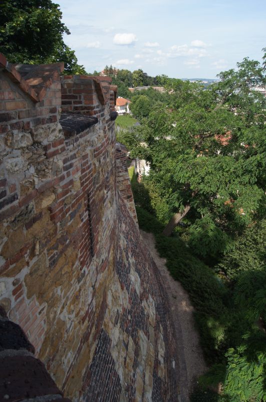 Viewing photos→2011→2011-06-14-2→107