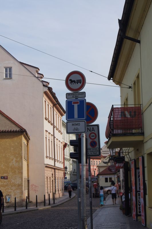 Viewing photos→2011→2011-06-14-2→377