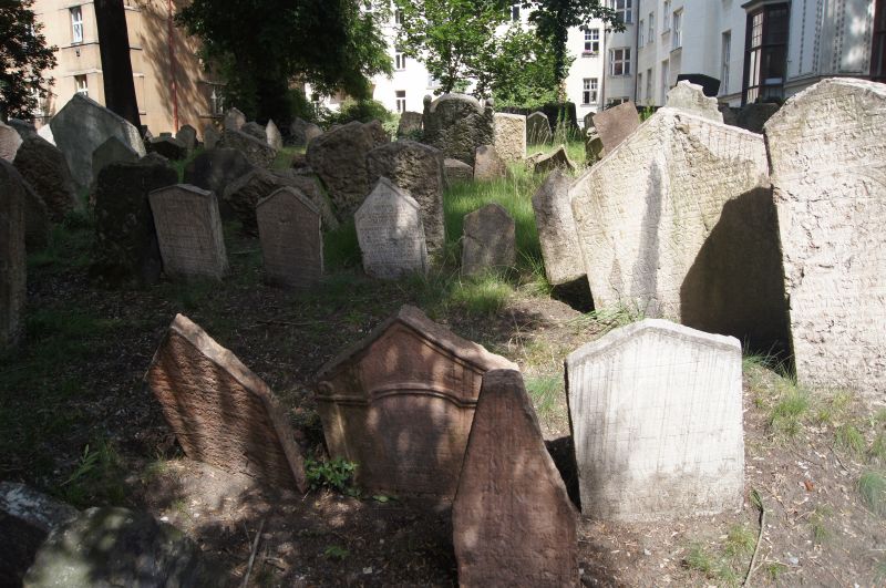 Viewing photos→2011→2011-06-14-2→422