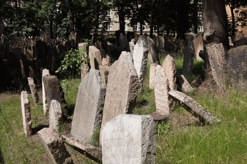 Viewing photos→2011→2011-06-14-2→424