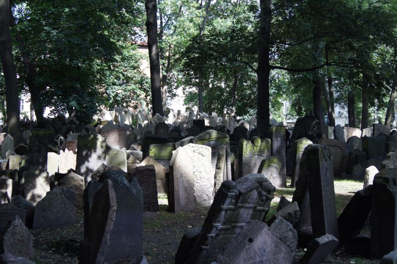 Viewing photos→2011→2011-06-14-2→432