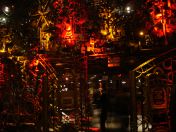 470.jpg - 2011:06:18 22:10:14