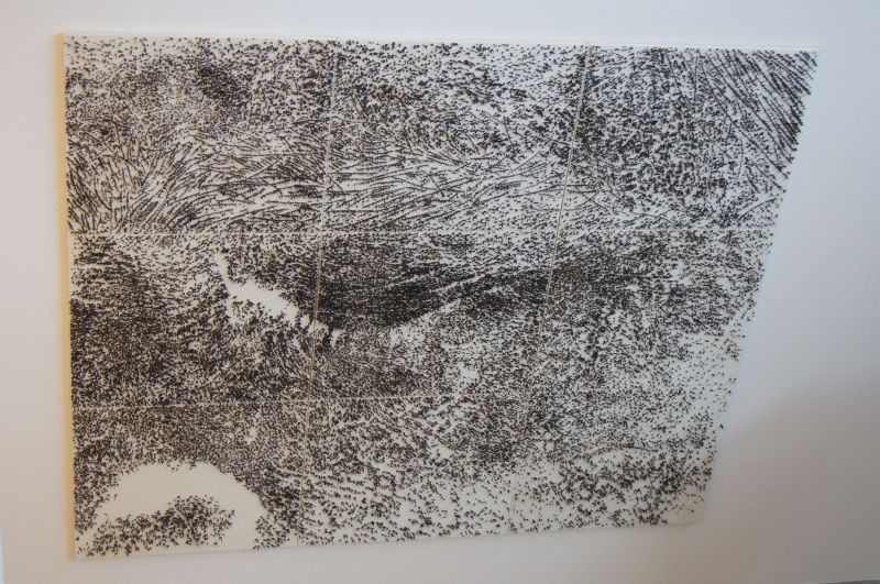 Viewing photos→2011→2011-06-14-2→487