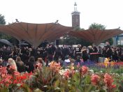 29.jpg - 2011:07:17 13:12:51