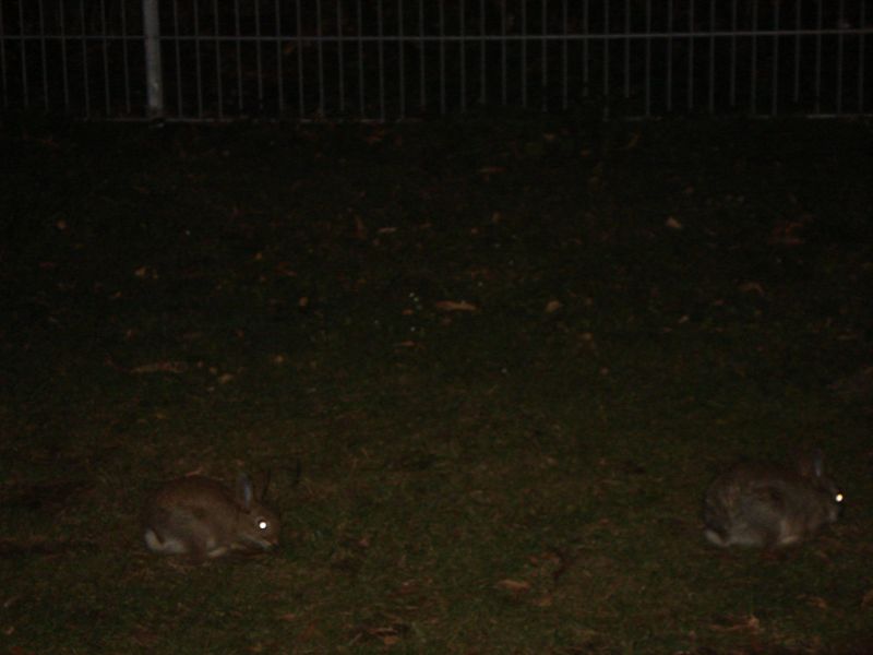 Viewing photos→2011→2011-07-15→44