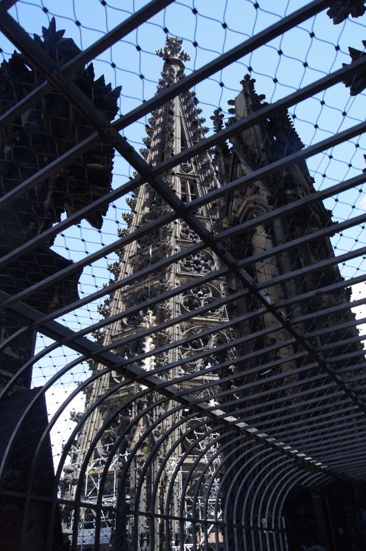 Viewing photos→2011→2011-07-18→056