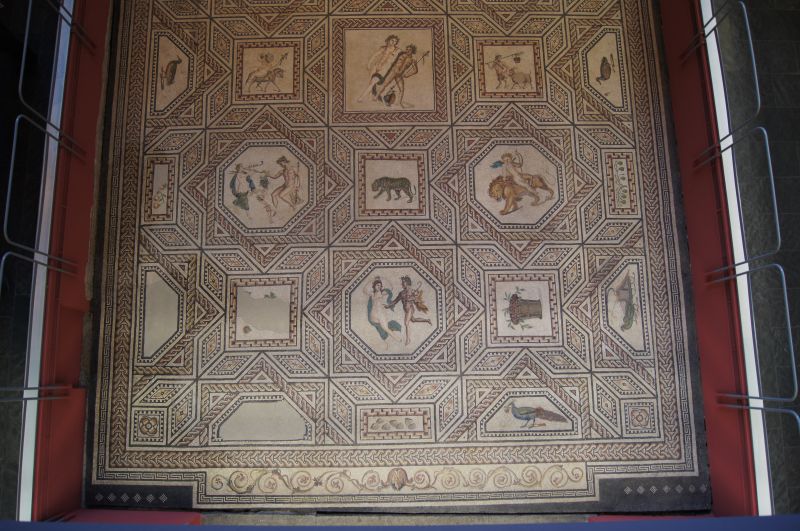 Viewing photos→2011→2011-07-18→105