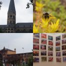 2011-07-20<br/>
<b>Bonn</b>
