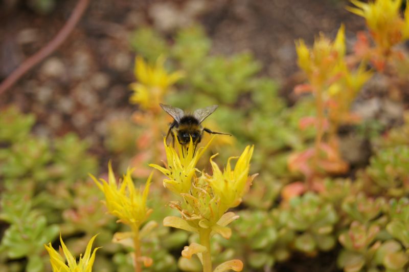 Viewing photos→2011→2011-07-20→14