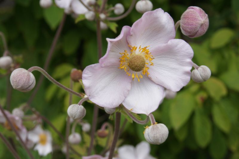 Viewing photos→2011→2011-07-20→21