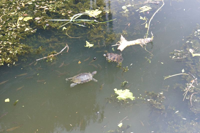 Viewing photos→2011→2011-07-20→25