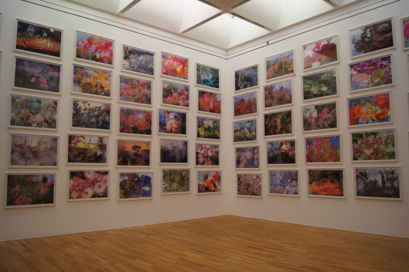 Viewing photos→2011→2011-07-20→40