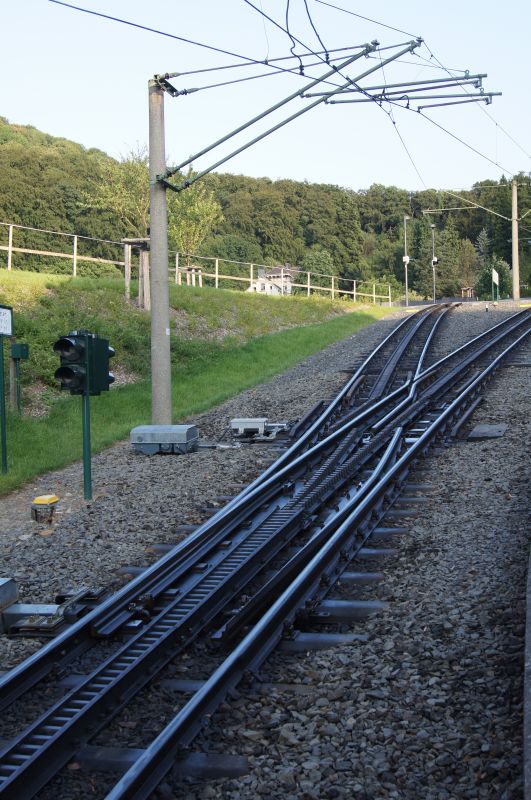 Viewing photos→2011→2011-07-21→36