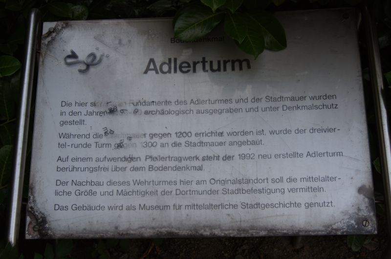 Viewing photos→2011→2011-07-23→045