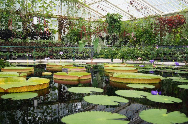 Viewing photos→2011→2011-08-19→03