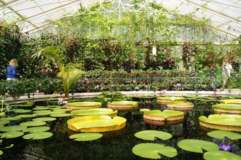 Viewing photos→2011→2011-08-19→04