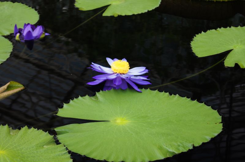 Viewing photos→2011→2011-08-19→05