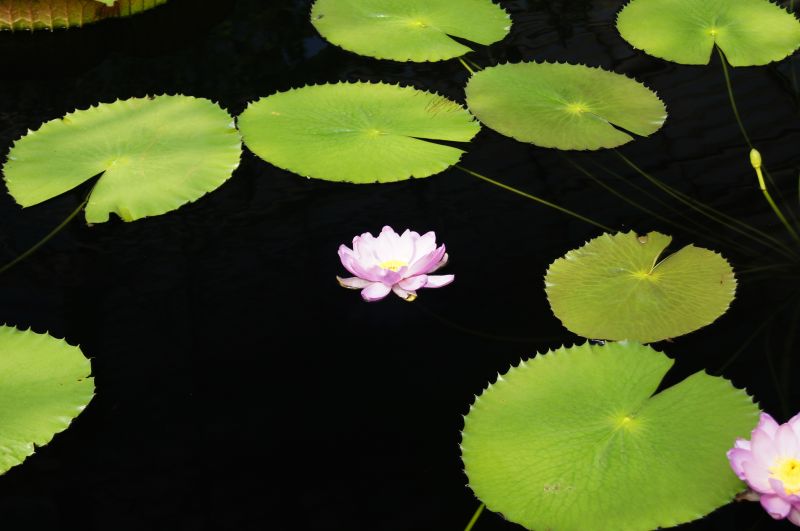 Viewing photos→2011→2011-08-19→09