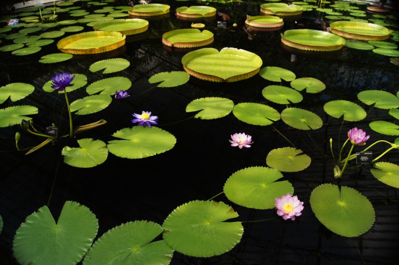 Viewing photos→2011→2011-08-19→11