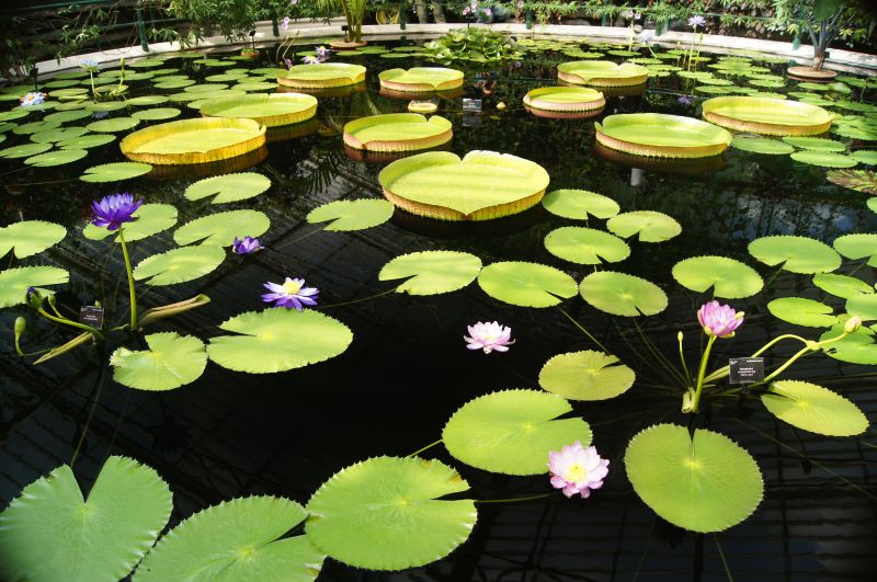 Viewing photos→2011→2011-08-19→12