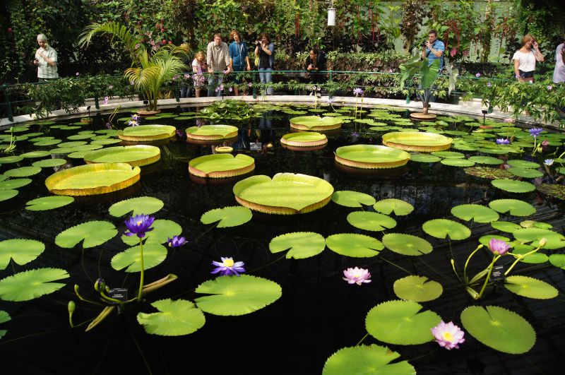 Viewing photos→2011→2011-08-19→13