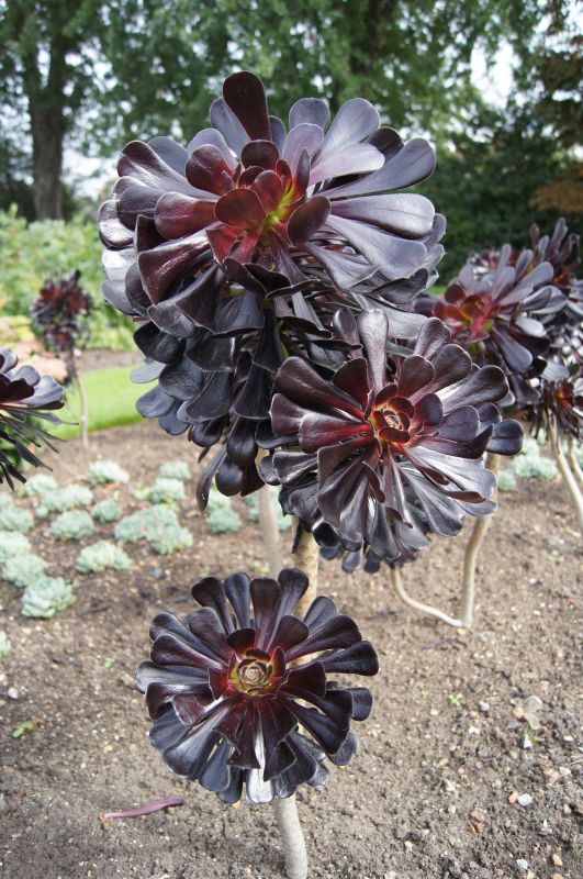 Viewing photos→2011→2011-09-16→02