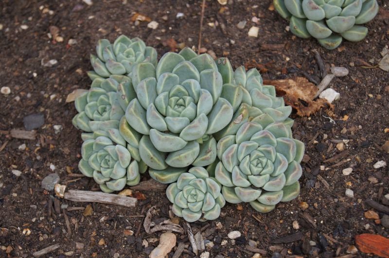 Viewing photos→2011→2011-09-16→03