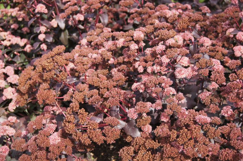 Viewing photos→2011→2011-09-16→04