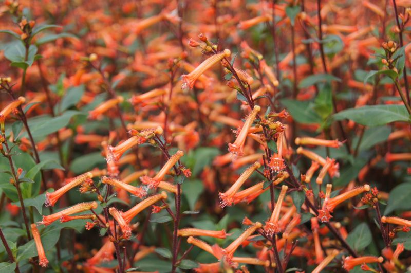 Viewing photos→2011→2011-09-16→06