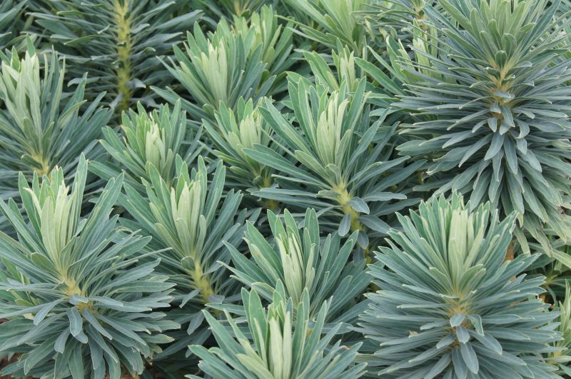 Viewing photos→2011→2011-09-16→07