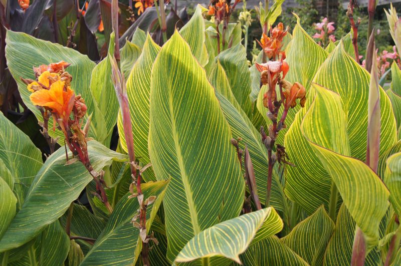 Viewing photos→2011→2011-09-16→09