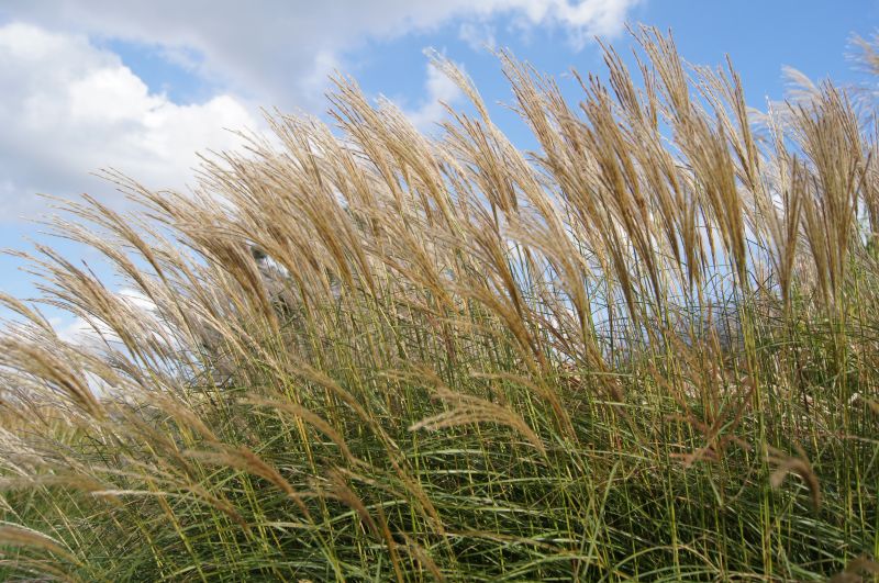 Viewing photos→2011→2011-09-16→16