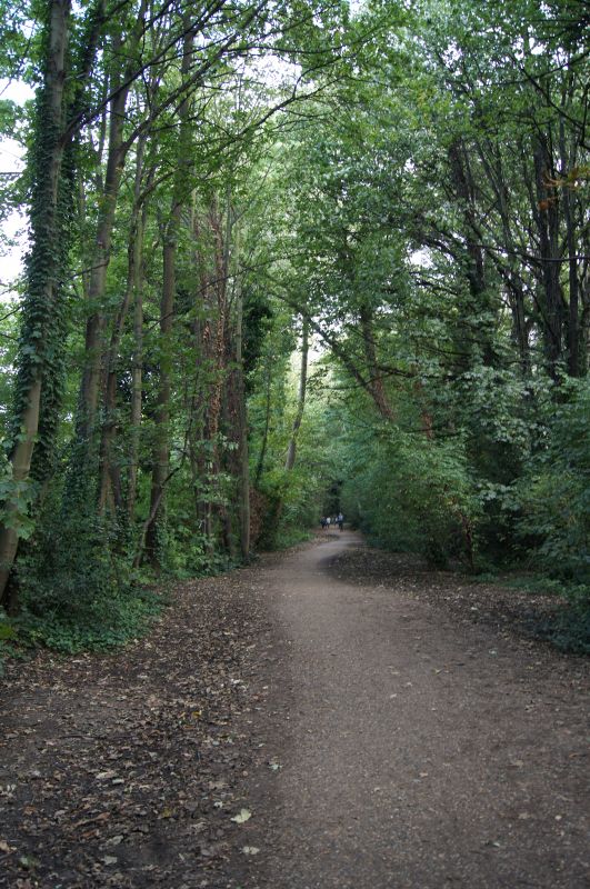 Viewing photos→2011→2011-09-24→09