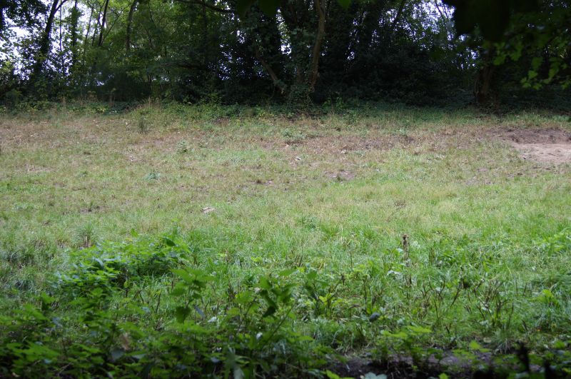 Viewing photos→2011→2011-09-24→26