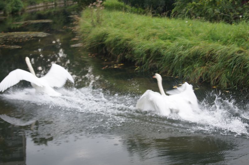 Viewing photos→2011→2011-09-24→31