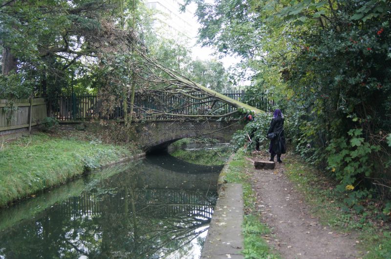 Viewing photos→2011→2011-09-24→36