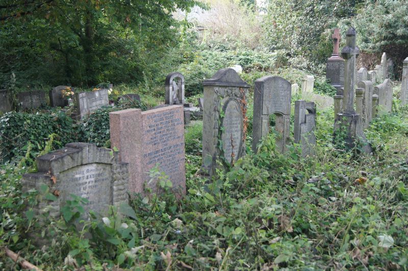 Viewing photos→2011→2011-09-24→50