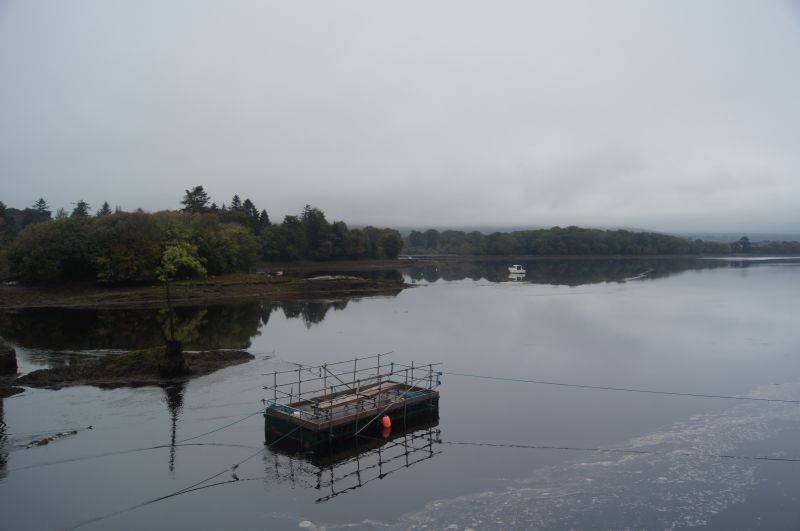 Viewing photos→2011→2011-10-01→019