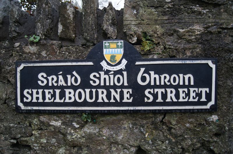 Viewing photos→2011→2011-10-01→043